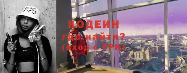 гашик Дмитриев
