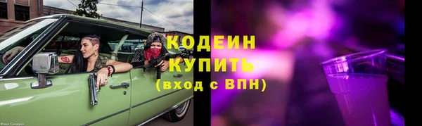 гашик Дмитриев