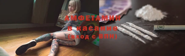 прущие грибы Елизово