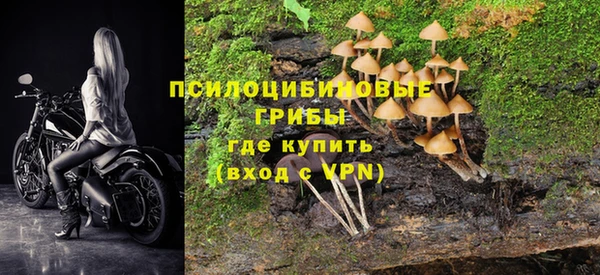 эйфоретик Елабуга
