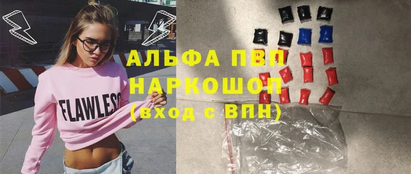 шишки Ельня