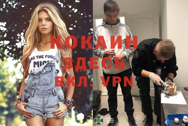 прущие грибы Елизово